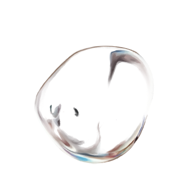 bubble